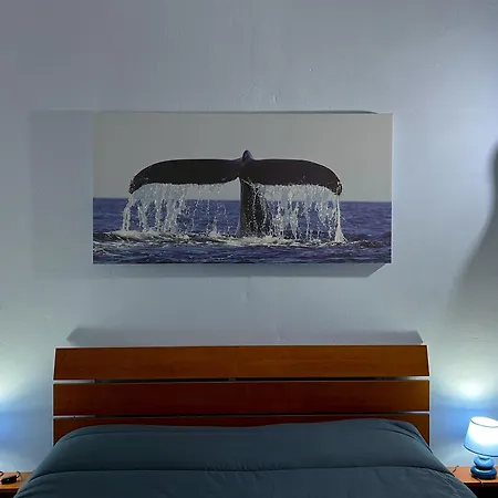 Oceano Apartment *